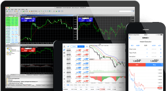 Tickmill Erfahrungen mit dem Forex Handelsangebot