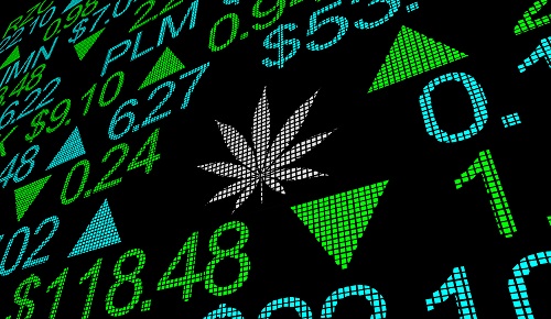 Deutsche Cannabis Aktie Kurs