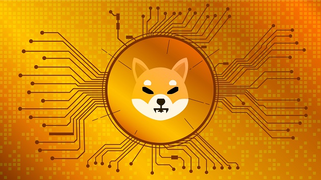 Shiba Inu Coin