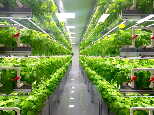 vertical farming aktien