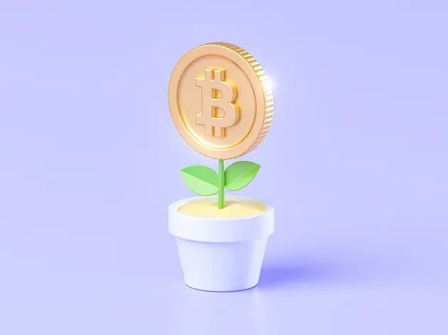 mit kryptowährung geld verdienen erfahrungen)