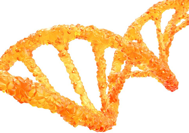 glaxosmithkline aktie dividende