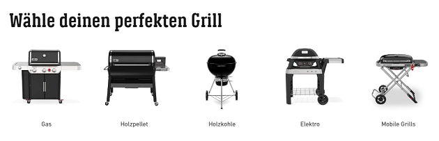 aktie grill weber