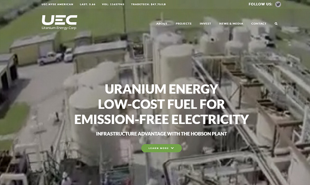 uranium energy aktie prognose 2025