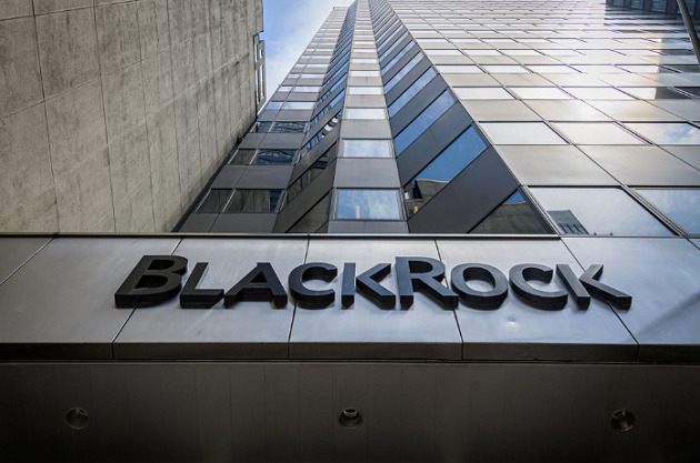 blackrock aktie dividende