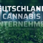SynBiotic Aktie: Eine Wette auf die Cannabis Legalisierung in Deutschland