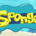 Sponge Coin - Ein Überblick
