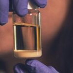 Amyris Aktie - Lohnt sich ein Investment?